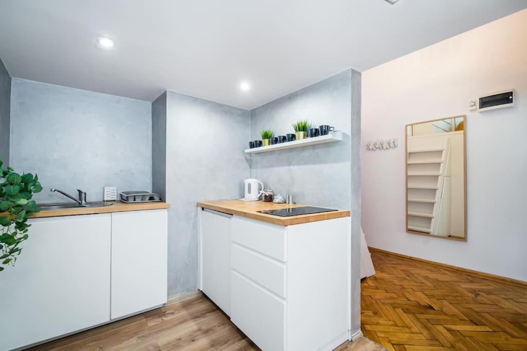 Royal City Apartment 40 M2 Krakau Buitenkant foto