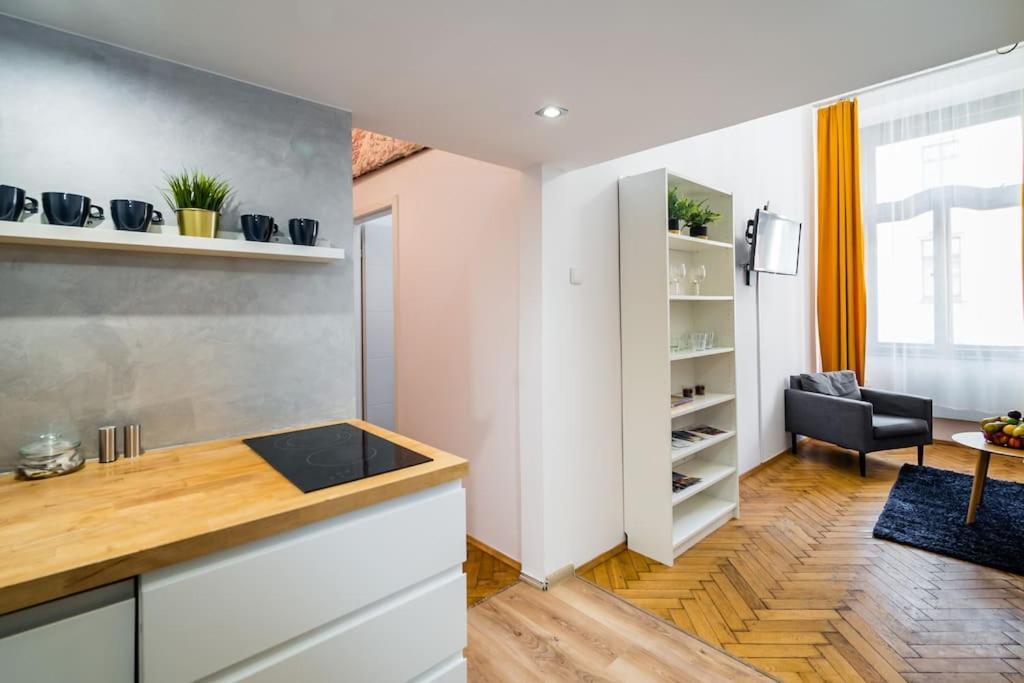 Royal City Apartment 40 M2 Krakau Buitenkant foto